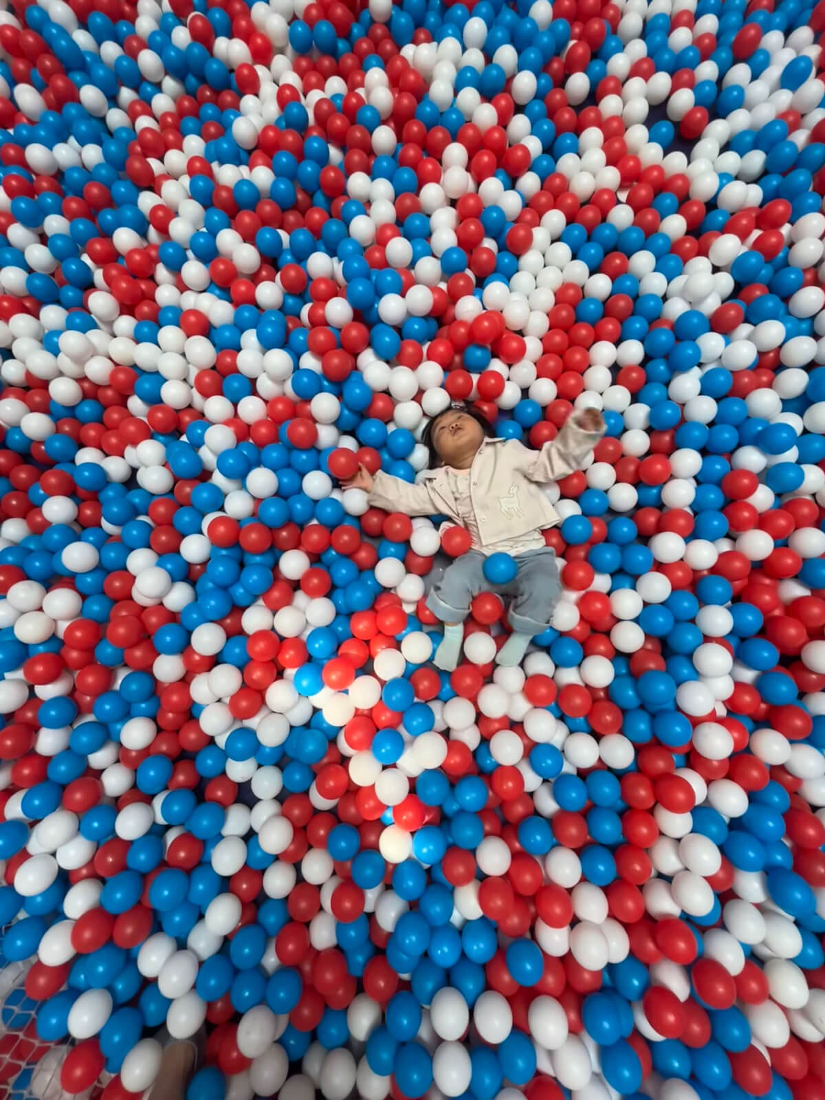 Cover Image of the Post