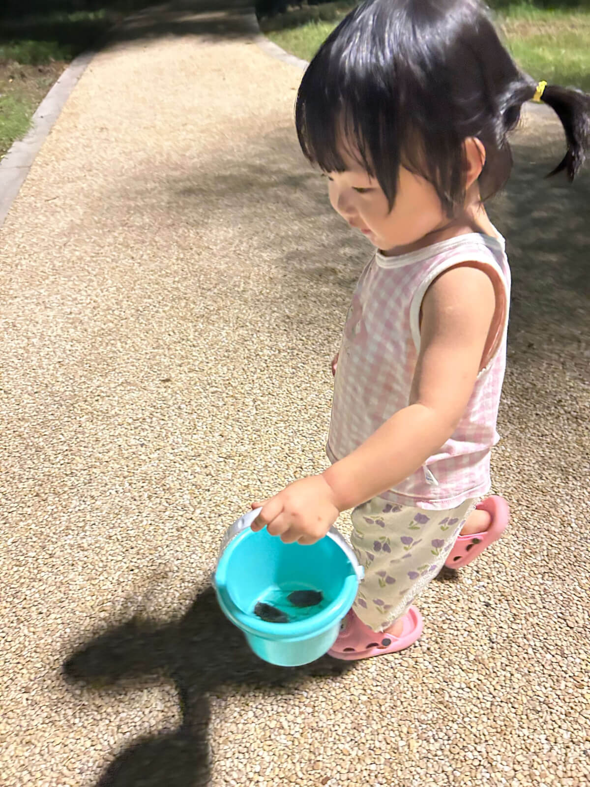 Cover Image of the Post