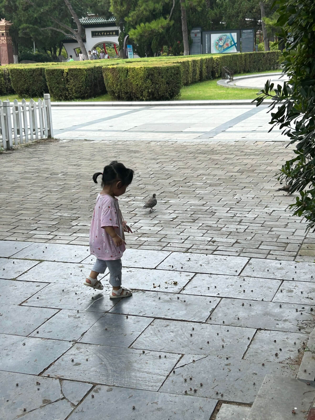 Cover Image of the Post