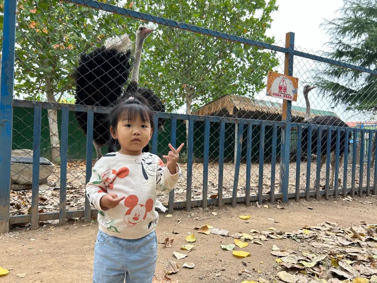 Cover Image of the Post